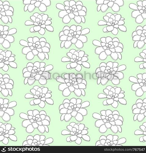 Succulents seamless pattern. Vector illustration for textile design and wallpaper.. Succulents seamless pattern. Vector illustration for textile design and wallpaper