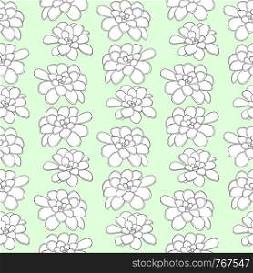 Succulents seamless pattern. Vector illustration for textile design and wallpaper.. Succulents seamless pattern. Vector illustration for textile design and wallpaper