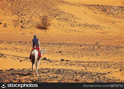 Sudanese men ride camel