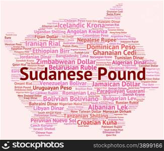 Sudanese Pound Meaning Foreign Currency And Coin