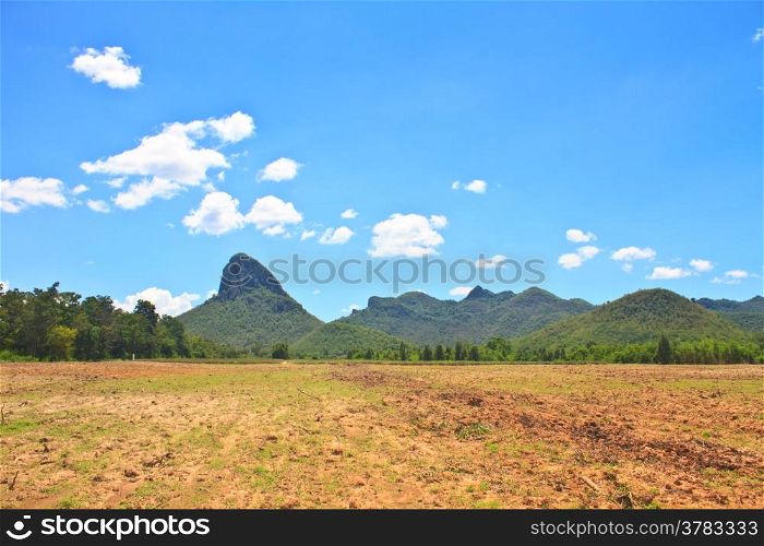 sugar cane field near a mountain and blue sky background
