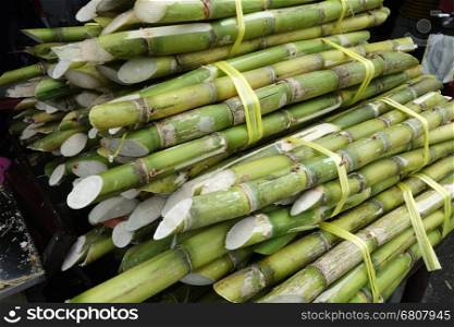 Sugarcane placed on street in Penang, Malaysia