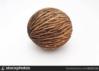 Suicide tree, Pong-pong, Othalanga, Cerbera dry fruits isolated on white background