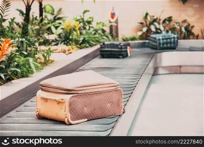 suitcase on a conveyor belt surrounded by green tropical plants in a baggage claim area at the airport travel background