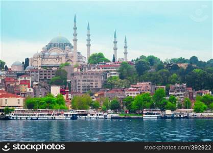 Suleymaniye Mosque on the Beach seaside in istanbul. Turkey. Suleymaniye Mosque on the Beach seaside in istanbul