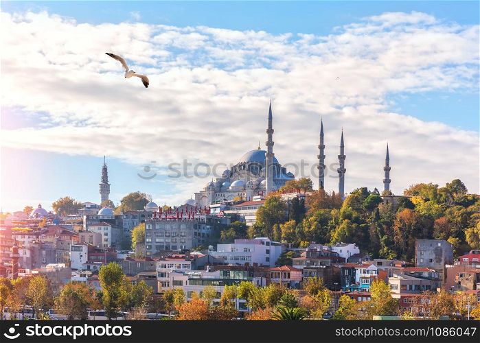 Suleymaniye Mosque on the hill of Istanbul, view from the Eminonu pier.. Suleymaniye Mosque on the hill of Istanbul, view from the Eminonu pier
