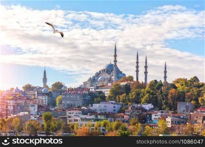 Suleymaniye Mosque on the hill of Istanbul, view from the Eminonu pier.. Suleymaniye Mosque on the hill of Istanbul, view from the Eminonu pier