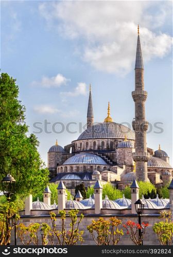 Sultan Ahmed or Blue Mosque in Istanbul, Turkey. Summer landscape. Sultan Ahmed or Blue Mosque in Istanbul, Turkey