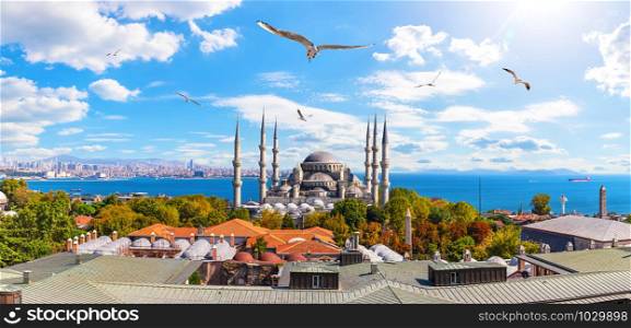 Sultan Ahmet or the Blue Mosque and the Bosphorus Straight in the background, Istanbul panorama,. Sultan Ahmet or the Blue Mosque and the Bosphorus Straight in the background, Istanbul panorama