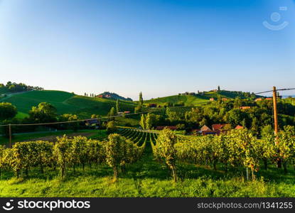 Sulztal, Styria / Austria - 17 September 2018: Vineyards Sulztal famous destination wine street area south Styria , wine country in summer. Tourist destination. Green hills and crops of grapes.. Austria Vineyards Sulztal wine street area south Styria , wine country. Tourist destination