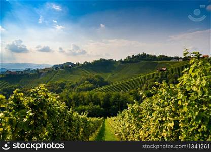 Sulztal, Styria / Austria - 17 September 2018: Vineyards Sulztal famous destination wine street area south Styria , wine country in summer. Tourist destination. Green hills and crops of grapes.. Austria Vineyards Sulztal wine street area south Styria , wine country. Tourist destination