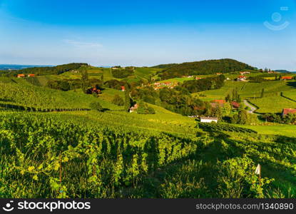 Sulztal, Styria Austria - 17 September 2018: Vineyards Sulztal famous destination wine street area south Styria , wine country in summer. Tourist destination. Green hills and crops of grapes.. Austria Vineyards Sulztal wine street area south Styria , wine country. Tourist destination