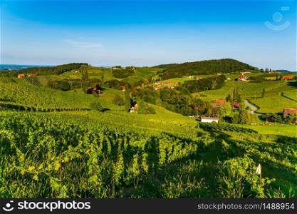 Sulztal, Styria Austria - 17 September 2018: Vineyards Sulztal famous destination wine street area south Styria , wine country in summer. Tourist destination. Green hills and crops of grapes.. Austria Vineyards Sulztal wine street area south Styria , wine country. Tourist destination