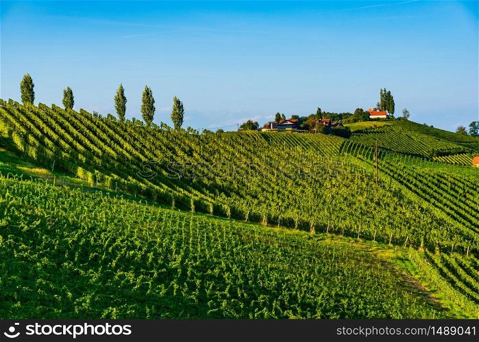 Sulztal, Styria Austria - 17 September 2018: Vineyards Sulztal famous destination wine street area south Styria , wine country in summer. Tourist destination. Green hills and crops of grapes.. Austria Vineyards Sulztal wine street area south Styria , wine country. Tourist destination