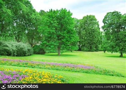 Summe rpark with lawn and flower garden