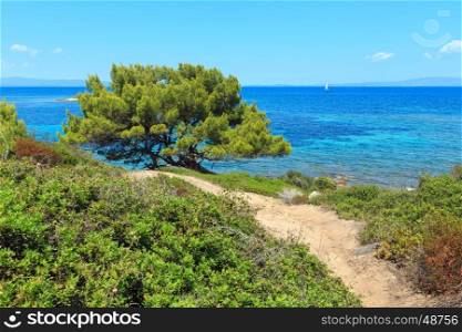 Summer Aegean sea coast landscape with path and pine tree (Chalkidiki, Greece).