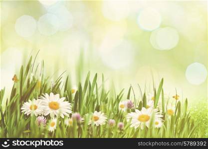 Summer afternoon with faded colors, abstract natural backgrounds