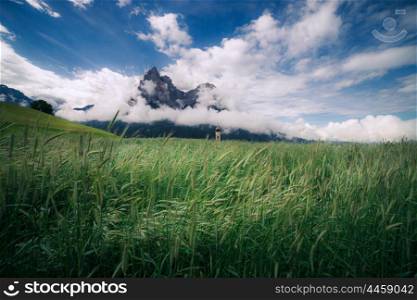 Summer alpine meadow. Dolomites mountains, Italy