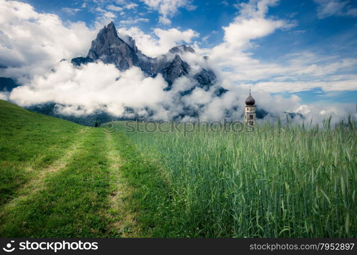 Summer alpine meadow. Dolomites mountains, Italy