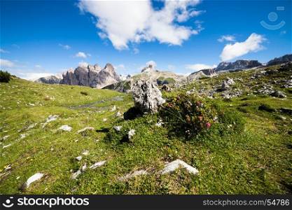 Summer alpine meadow mountain panorama. Dolomites Alps, Italy
