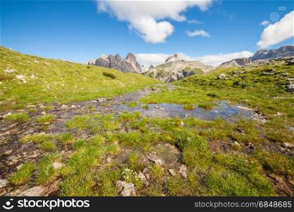 Summer alpine meadow mountain panorama. Dolomites Alps, Italy