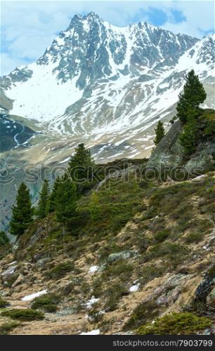 Summer Alps mountain landscape (Austria).