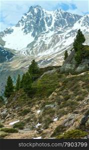 Summer Alps mountain landscape (Austria).