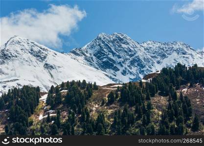 Summer Alps mountain landscape with fir forest on slope and snow covered rocky tops in far, Austria.