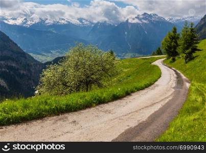 Summer Alps mountain landscape with rural road and wild flowers on grassland slope, Switzerland.