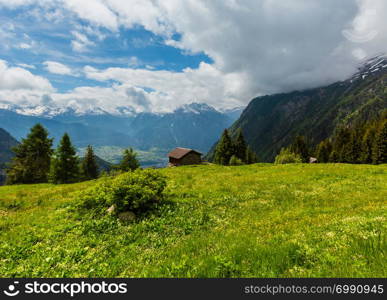 Summer Alps mountain landscape with yellow wild flowers on grassland slope, Switzerland.