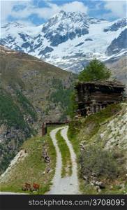 Summer Alps mountain plateau with wooden barn(Switzerland, near Zermatt)