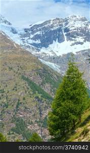 Summer Alps mountain view from plateau with fir trees on slope.(Switzerland, near Zermatt)