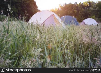 summer and active sport. tents stand in a meadow