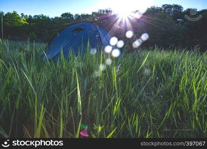 summer and active sport. tents stand in a meadow