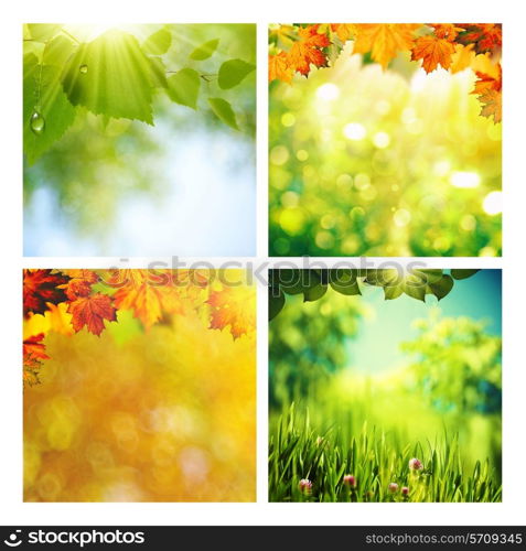 Summer and autumnal assorted backgrounds set for your design