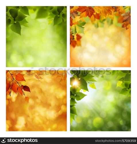 Summer and autumnal assorted backgrounds set for your design