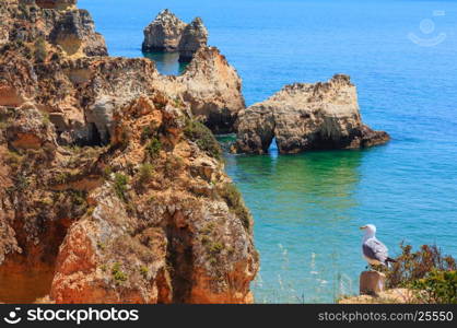 Summer Atlantic rocky coastline top view (Portimao, Alvor, Algarve, Portugal).