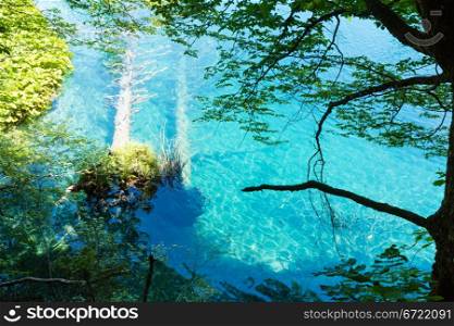 Summer azure limpid transparent lake view and trunks of dry tree at bottom (Plitvice Lakes National Park, Croatia)