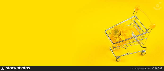 Summer background concept. Bright flower on a yellow background. Shopping cart with flowers.Banner format. Summer background concept. Bright flower on yellow background. Shopping cart with flowers.