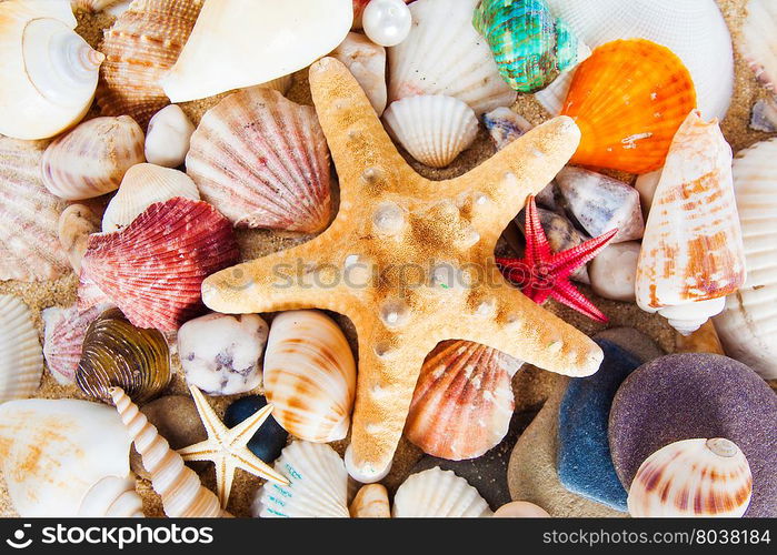 Summer background. Sea shells with sand as background