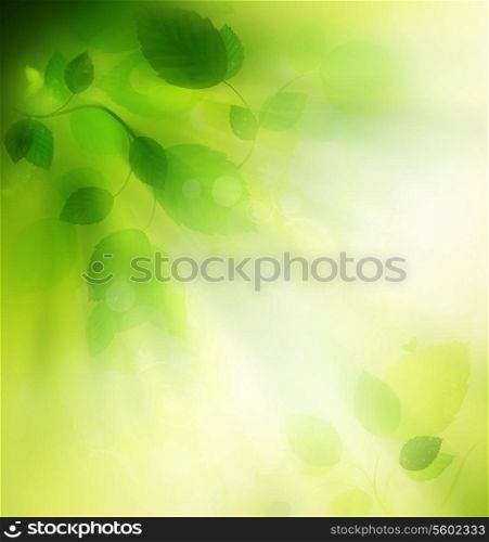 Summer Background With Leafs, Sunbeam And Butterflies