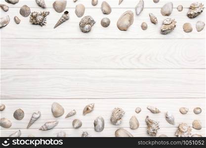 Summer background with white wooden table with many seashell. Top view copy space for text
