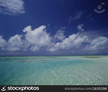 Summer Beach