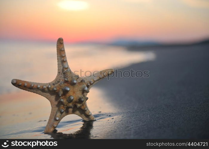 summer beach sunset with star on beach representing freedom freshnes and travel concept