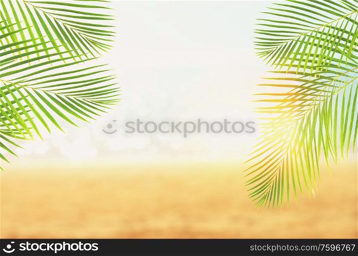 Summer beach with sea, palms and sunshine, toned. Summer beach with palms