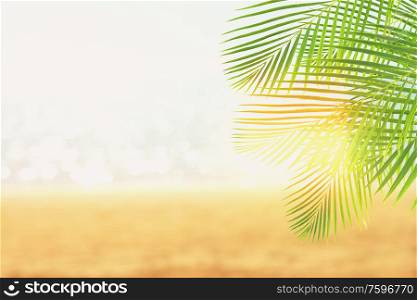 Summer beach with sea, palms leaves and sunshine, toned. Summer beach with palms