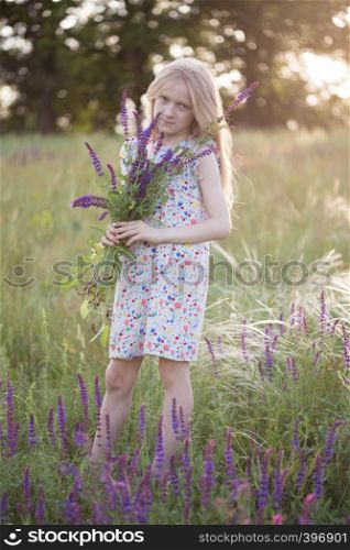 summer - beautiful girl on a meadow with a bouquet of salvia