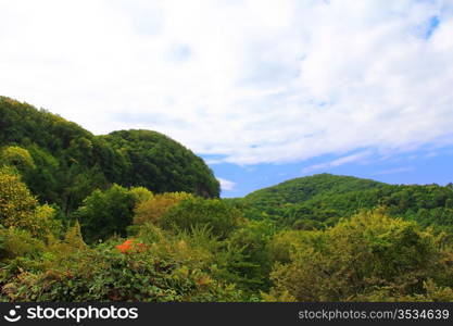 Summer beautiful landscape with Caucasus green mountains