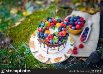Summer berry cake on stump with fresh berries. Summer berry cake outdoor with fresh berries