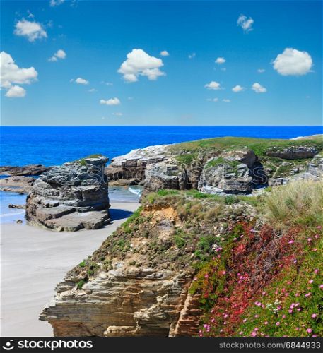 Summer blossoming Atlantic beach Illas (Galicia, Spain) with white sand and pink flowers in front. Blue sky with clouds.